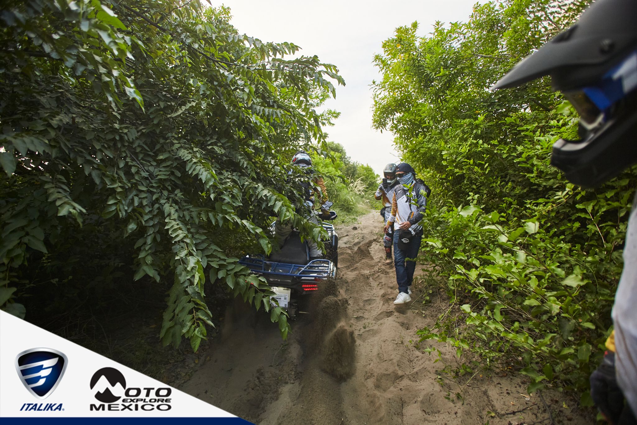 ITALIKA CHACHALACAS D1 355